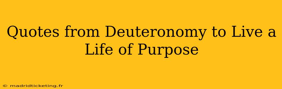Quotes from Deuteronomy to Live a Life of Purpose