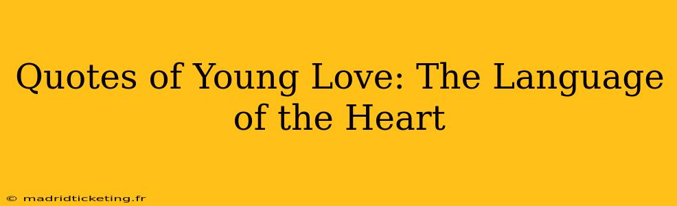 Quotes of Young Love: The Language of the Heart