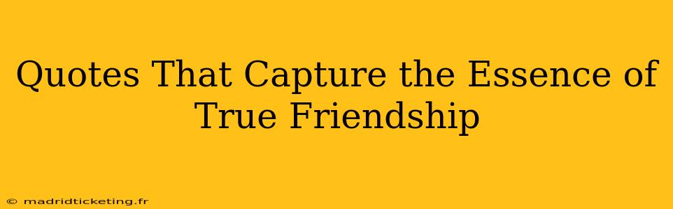 Quotes That Capture the Essence of True Friendship