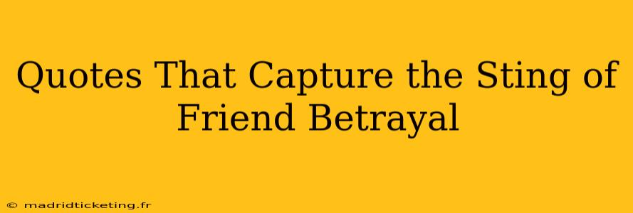 Quotes That Capture the Sting of Friend Betrayal
