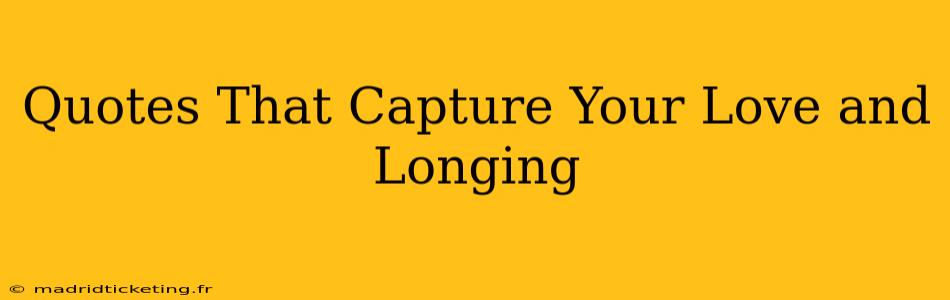 Quotes That Capture Your Love and Longing