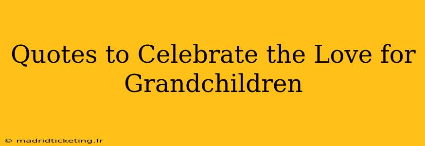 Quotes to Celebrate the Love for Grandchildren