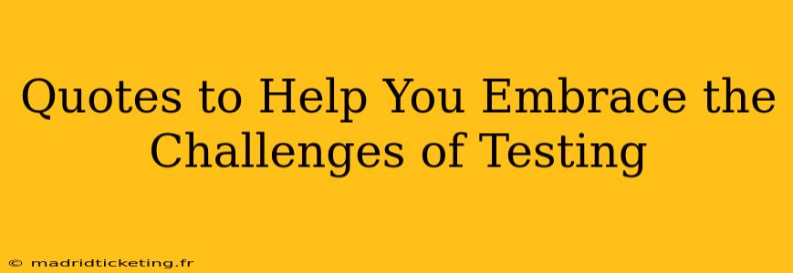 Quotes to Help You Embrace the Challenges of Testing