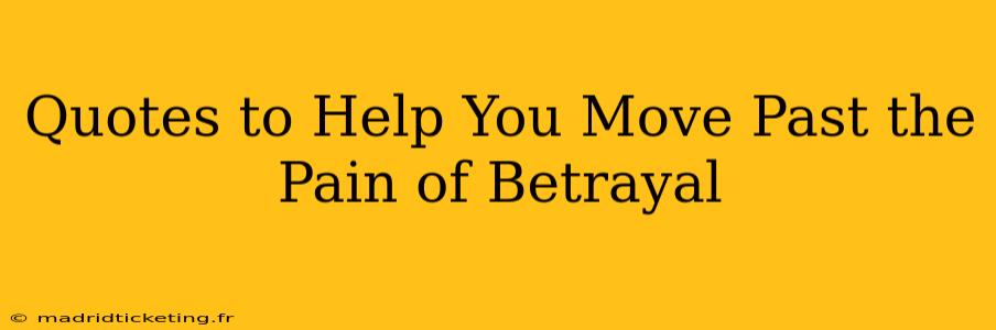 Quotes to Help You Move Past the Pain of Betrayal