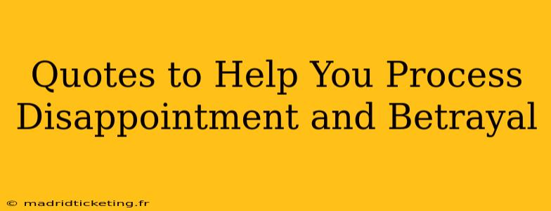 Quotes to Help You Process Disappointment and Betrayal