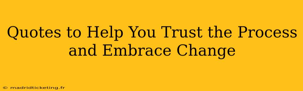 Quotes to Help You Trust the Process and Embrace Change