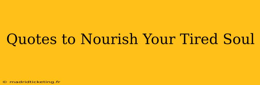 Quotes to Nourish Your Tired Soul
