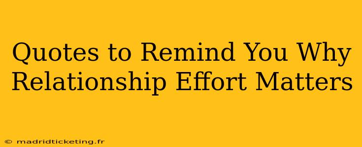 Quotes to Remind You Why Relationship Effort Matters