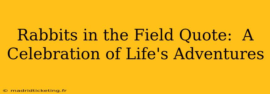 Rabbits in the Field Quote:  A Celebration of Life's Adventures