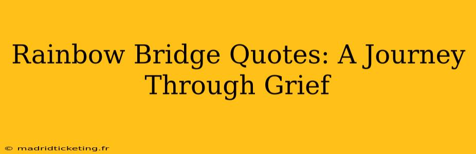 Rainbow Bridge Quotes: A Journey Through Grief