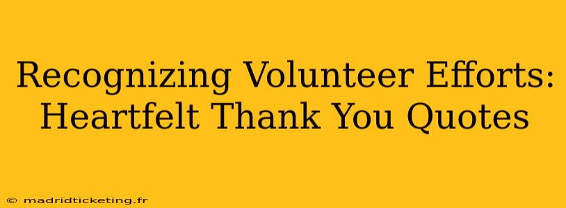 Recognizing Volunteer Efforts: Heartfelt Thank You Quotes