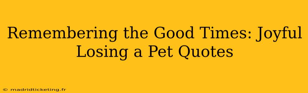 Remembering the Good Times: Joyful Losing a Pet Quotes