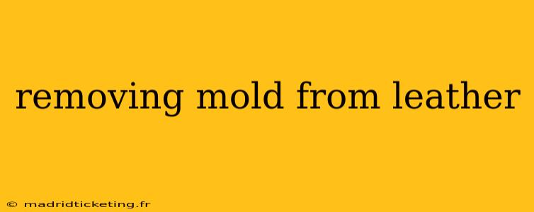 removing mold from leather