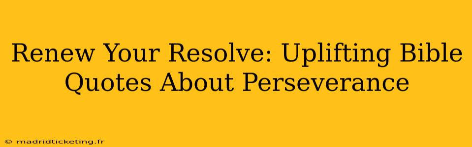 Renew Your Resolve: Uplifting Bible Quotes About Perseverance