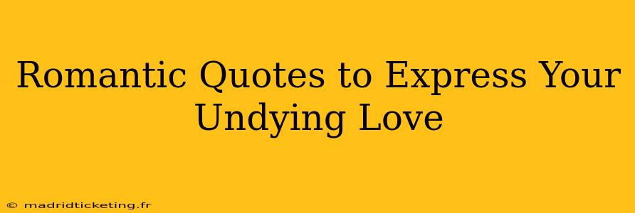 Romantic Quotes to Express Your Undying Love