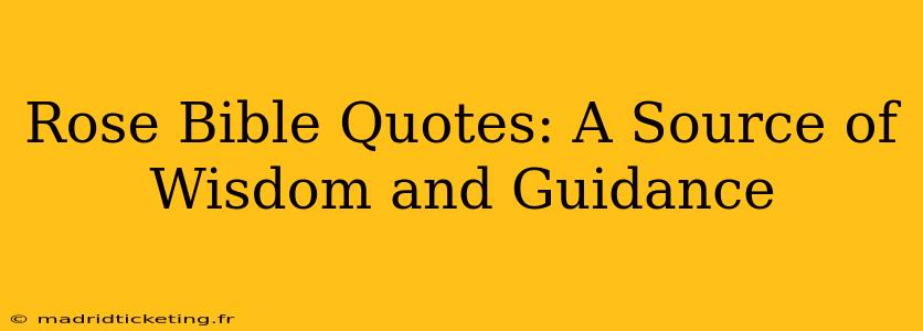 Rose Bible Quotes: A Source of Wisdom and Guidance