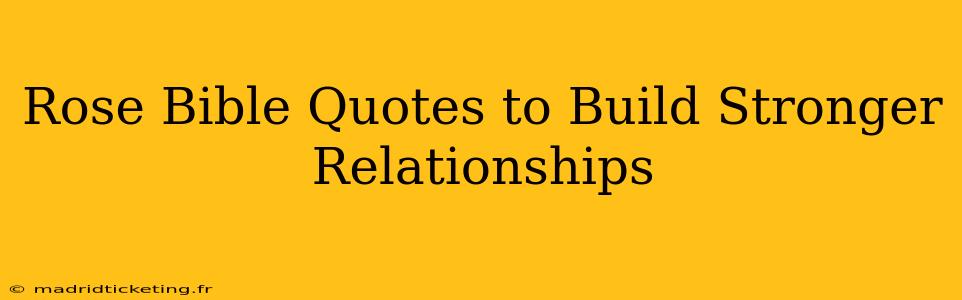 Rose Bible Quotes to Build Stronger Relationships