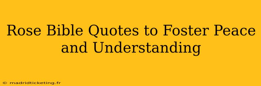 Rose Bible Quotes to Foster Peace and Understanding