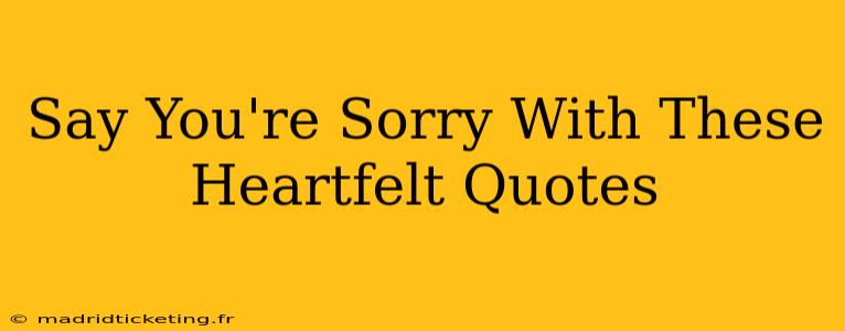 Say You're Sorry With These Heartfelt Quotes