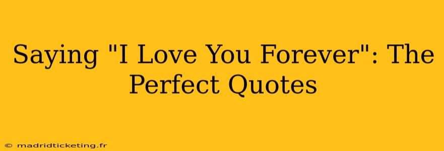 Saying "I Love You Forever": The Perfect Quotes