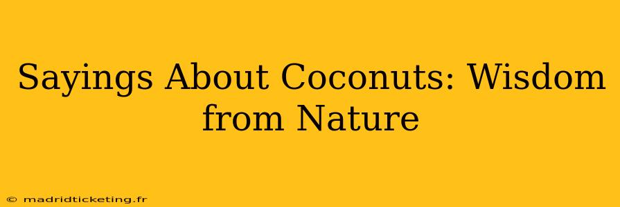 Sayings About Coconuts: Wisdom from Nature