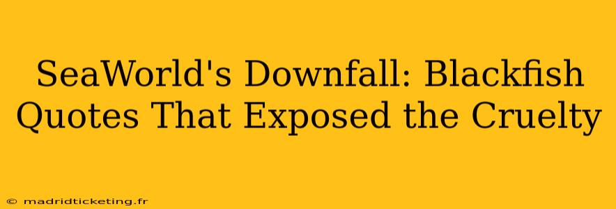 SeaWorld's Downfall: Blackfish Quotes That Exposed the Cruelty