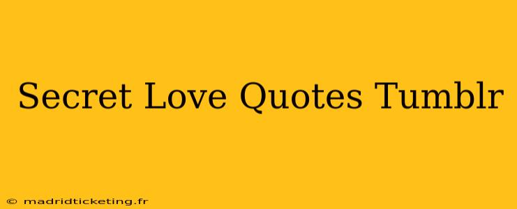 Secret Love Quotes Tumblr