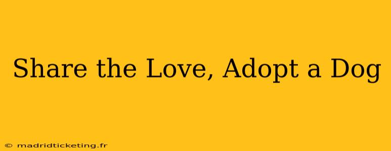 Share the Love, Adopt a Dog