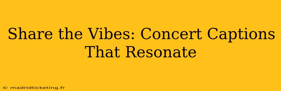 Share the Vibes: Concert Captions That Resonate