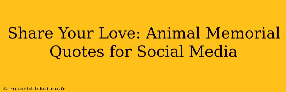 Share Your Love: Animal Memorial Quotes for Social Media