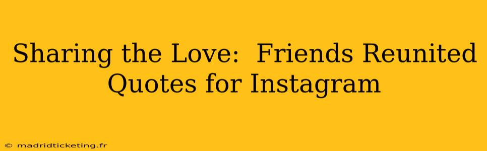 Sharing the Love:  Friends Reunited Quotes for Instagram