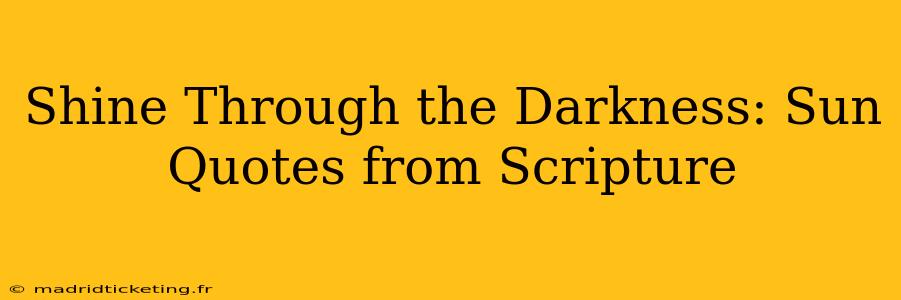 Shine Through the Darkness: Sun Quotes from Scripture