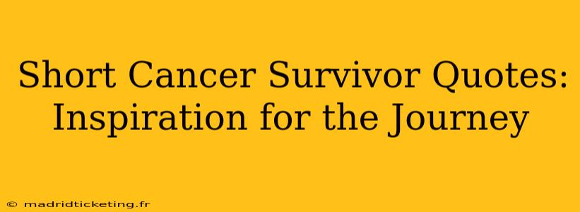 Short Cancer Survivor Quotes: Inspiration for the Journey