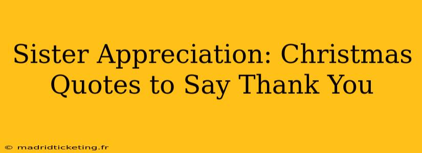 Sister Appreciation: Christmas Quotes to Say Thank You