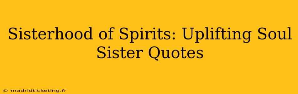 Sisterhood of Spirits: Uplifting Soul Sister Quotes