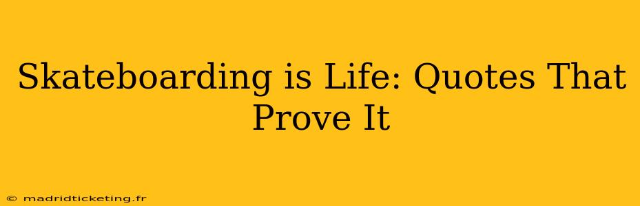 Skateboarding is Life: Quotes That Prove It