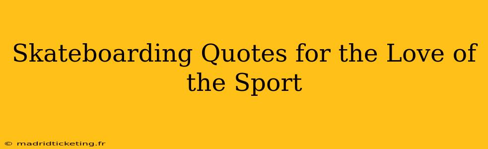 Skateboarding Quotes for the Love of the Sport