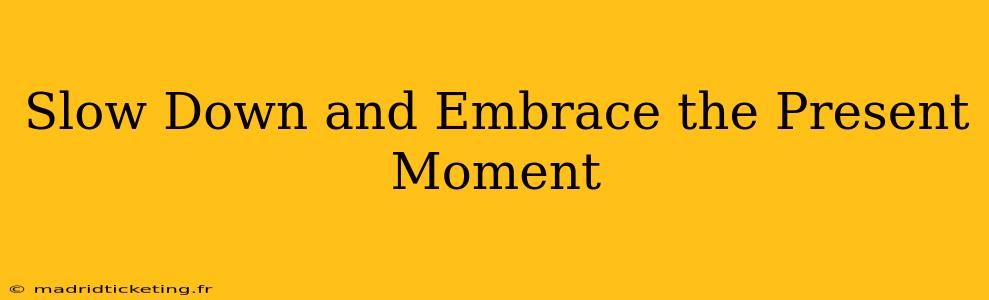 Slow Down and Embrace the Present Moment