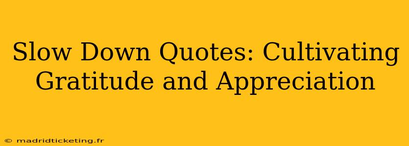 Slow Down Quotes: Cultivating Gratitude and Appreciation