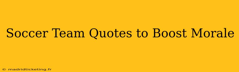 Soccer Team Quotes to Boost Morale