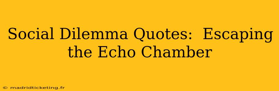 Social Dilemma Quotes:  Escaping the Echo Chamber