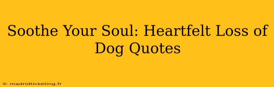 Soothe Your Soul: Heartfelt Loss of Dog Quotes