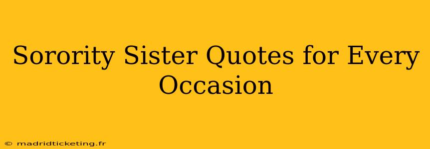 Sorority Sister Quotes for Every Occasion