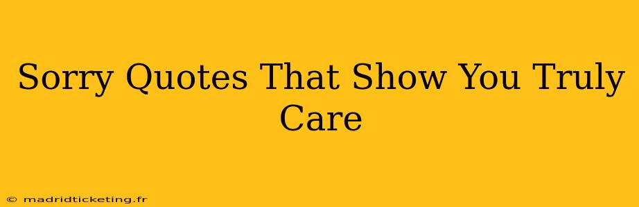 Sorry Quotes That Show You Truly Care
