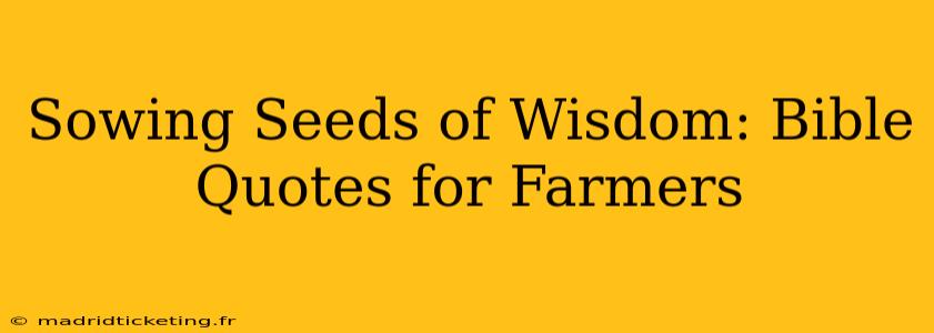 Sowing Seeds of Wisdom: Bible Quotes for Farmers