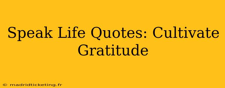 Speak Life Quotes: Cultivate Gratitude