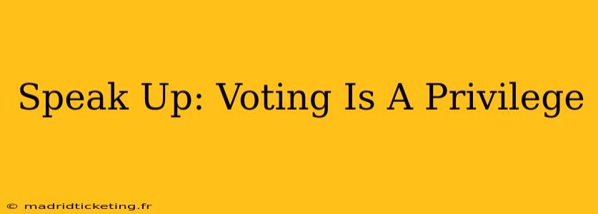 Speak Up: Voting Is A Privilege