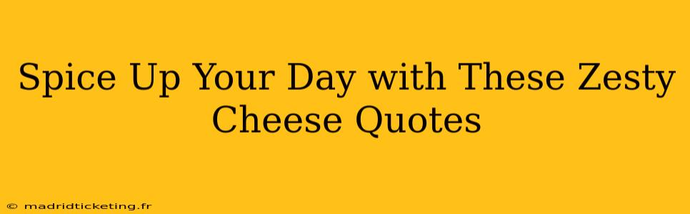 Spice Up Your Day with These Zesty Cheese Quotes