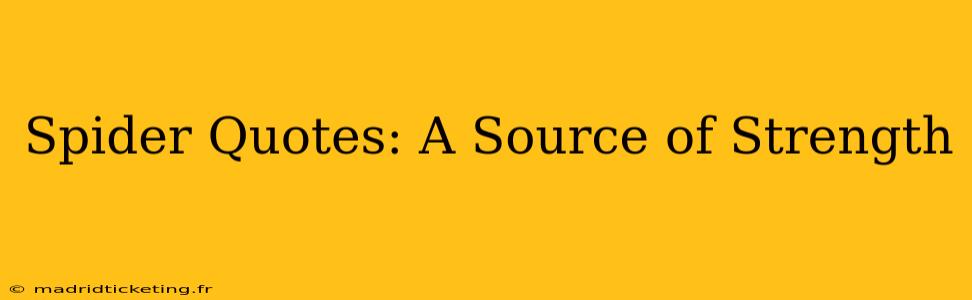 Spider Quotes: A Source of Strength