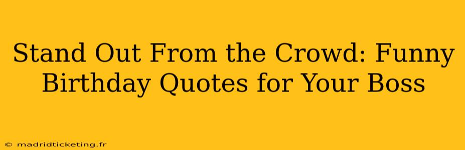 Stand Out From the Crowd: Funny Birthday Quotes for Your Boss